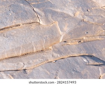 Parallel Rock Layers Separated by Fine Mineral Veins
​A close-up shot of stratified coastal rock strata displaying smooth parallel ridges and subtle color variations under bright daylight