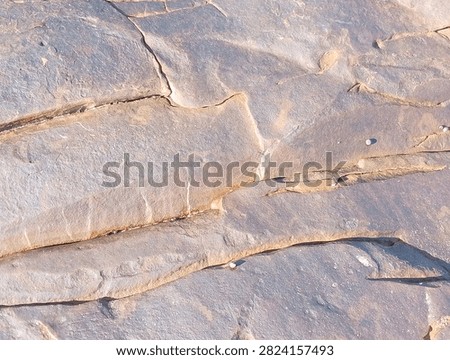 Parallel Rock Layers Separated by Fine Mineral Veins
​A close-up shot of stratified coastal rock strata displaying smooth parallel ridges and subtle color variations under bright daylight