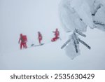 Paramedic team of emergency service helping in mountains in winter during blizzard. Selective focus on snow covered tree branch.Themes rescue in extreme weather.
