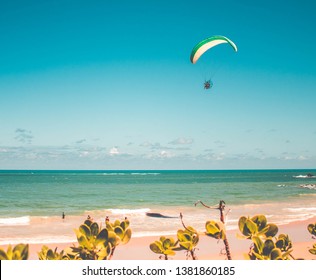 Paramotors flying above the beach. Adventure man active extreme sport pilot flying in sky with paramotor engine glider parachute in Coqueirinho, Paraiba, Brazil