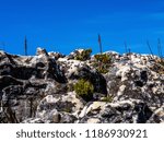 The paramount of the Table mountain