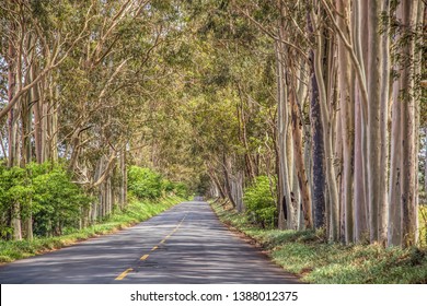 Itaguajé Paraná fonte: image.shutterstock.com