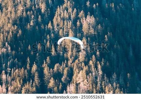 Paraplan and deltaplan in alps over a ski resort