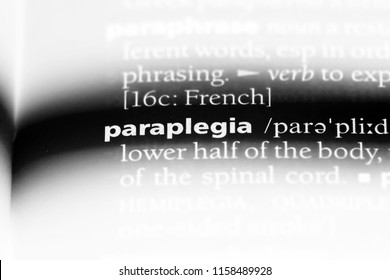 Paraplegia Word In A Dictionary. Paraplegia Concept.