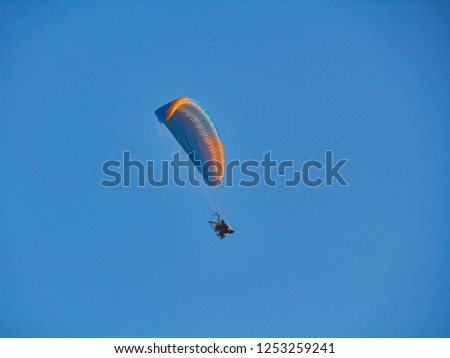 Similar – Large dragonfly sitting on the edge of the parasol