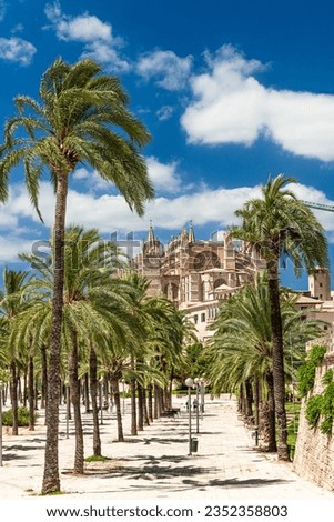 Parc de la Mar with cathedral La Seu in Palma de Mallorca  8739