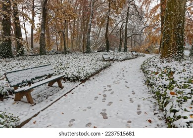 Parc de la Tete d'Or, the main city park of Lyon under a thin layer of snow