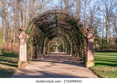 Parc De Orangerie Strasbourg Sunny At Winter