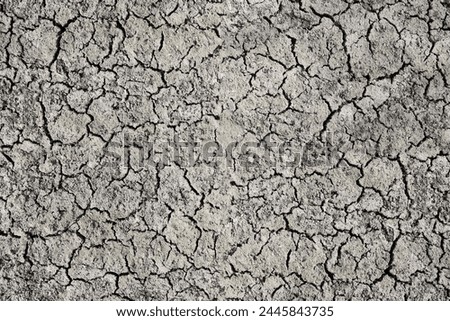 Parched land, dry cracked earth, arid soil, dry cracked earth texture, cracked earth, desert, global warming