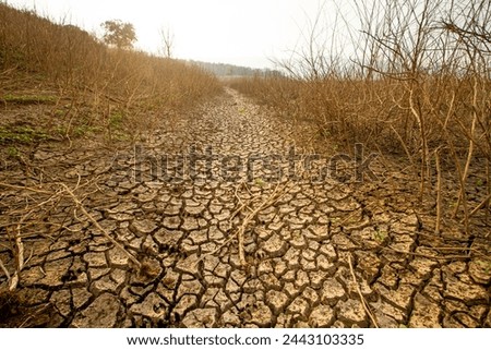 parched landscape with mud-cracked earth and a drying river, climate change impacts, including long-term droughts affecting ecosystem, illustrating the harsh reality of water scarcity.
