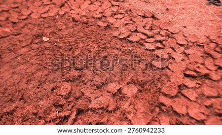 Parched laterite soil cracking under an intense seasonal heatwave across the arid terrains of Birbhum West Bengal illustrating the severe ecological footprint of systemic climate change on marginalized farming communities for agricultural drought and environmental crisis concepts.
