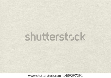 Parchment Paper Texture. Simple Background