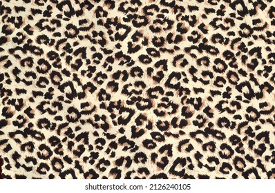pard print on mass produced fabric. Abstract animal skin pattern, background. A fabric sample from a shop window.
A piece of fabric from a shop window.Dyeing fabric under the skin of a leopard, 