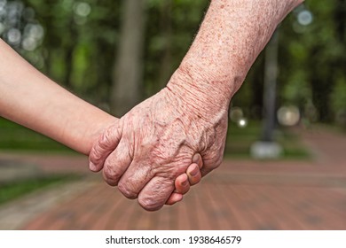 Parent and a child hold hands close together in a park background