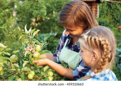 Parent and child picking apples in garden