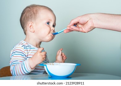 Parent Feeds Child From Spoon Close-up. Handsome Toddler Sitting With Plate Close-up. Baby Complementary Feeding, Food Allergy