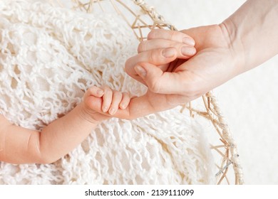 Parent Hands Holding Newborn Baby Fingers, Close Up Mother's Hand Holding Their New Born Baby. Love Family Healthcare And Medical Body Part.