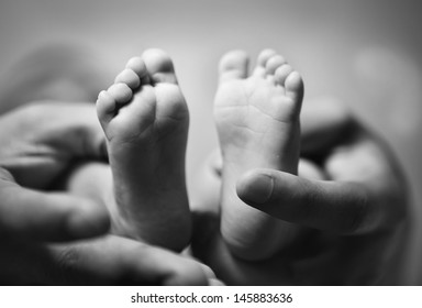 parent holding newborn baby feet. family concept. black and white  - Powered by Shutterstock
