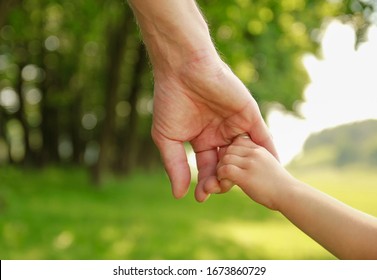 The Parent Holds The Hand Of A Small Child