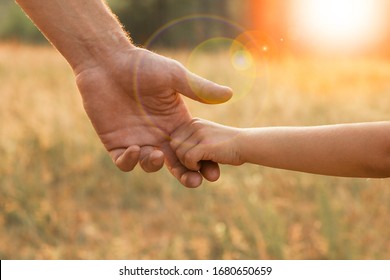 the parent holds the hand of a small child
