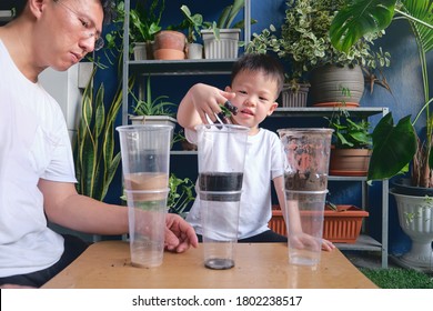 Parent Sitting Homeschooling With Little Kid, Asian Father And Son Having Fun Making Easy Science Soil Experiment At Home, Kid-friendly Easy Science Experiments At Home Concept