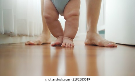 Parent Teaching Little Baby Learning To Walk On Wooden Floor At Home. Toddler Enjoying The First Steps With Family. Chubby Legs, Close Up