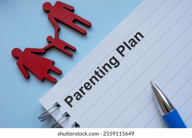 Parenting plan on the table.