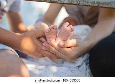 Parents Holding Baby Feet. Outdoors. Close Up