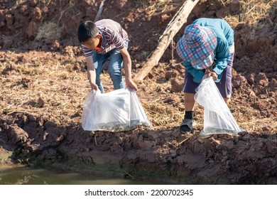 Parents And Kid Holding Plastic Bag Of Little Fish For Release The Fish To Pond