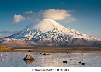 Parinacota Volcano Above Chungará Lake