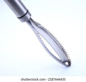 Paring Knife On A White Isolated Background.