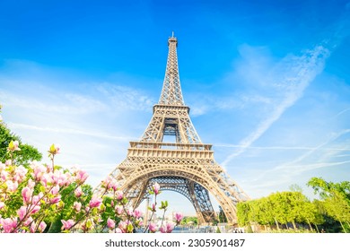 Paris Eiffel Tower spring magnolia flowers in Paris, France. Eiffel Tower is one of the most iconic landmarks of Paris
