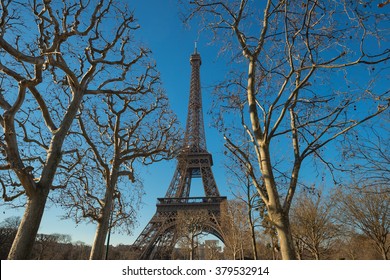 Paris Eiffel Tower in winter with trees on foreground