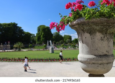 paris, france 07 03 2022, flowerbeds gardens and tourists in Luxembourg Garden on a sunny day and blue sky