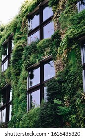 Paris / France - 07 10 2013: Green Facade Of The Museum Du Quai Branly