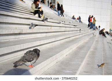 PARIS, FRANCE -17 DECEMBER 2011: Doves And People On The Stairs Of The Grande Arche In La Defense District