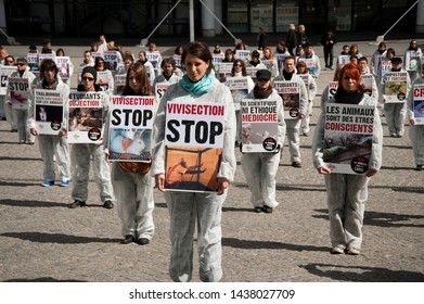 470 Against Vivisection Images Stock Photos Vectors Shutterstock   Paris France April 21 2012 260nw 1438027709 