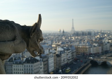 Paris, France: Gargoyles at Notre Dame and city view with Eiffel Tower