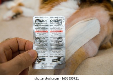 Paris, France - Jul 20, 2019: Overhead View Of Cat After Surgery Operation Vet Cabinet Visit Rehabilitation After Medical Intervention On Ankle Prosthesis Man Holding Onsior Robenacoxib Pills Blister
