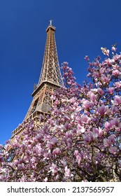 Paris, France. Magnolia Flowers And The Eiffel Tower. View From The Champ De Mars Park. March 14, 2022.