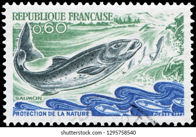 Vintage Mint Set of 4 Stamps 63 Years Old! Wildlife Conservation:King Salmon
