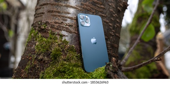 Paris, France - Nov 11, 2020: Wide image of cherry tree branch with new iPhone 12 Pro Max 5G smartphone model by Apple Computers close-up of Pacific Blue mobile phone device - triple cameras