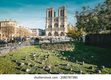 PARIS, FRANCE - November 2021: Cathédrale Notre-Dame de Paris on sunny day