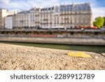 In Paris, France, shallow focus on a leaf on a stone ledge on a bridge over the River Seine, with traditional historical architecture in the distance.