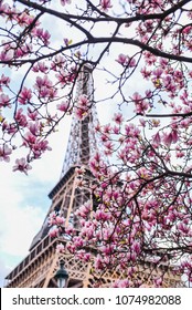 Paris, France, Spring