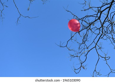 Paris, France-04 23 2021:A red balloon stuck in a tree branches. - Powered by Shutterstock