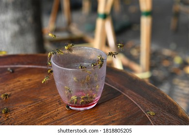 Paris, France-09 20 2020:Glass Filled With A Sweet Liquid Serving As A Decoy On A Terrace Of A Parisian Café To Distract Insects From Customer's Tables.