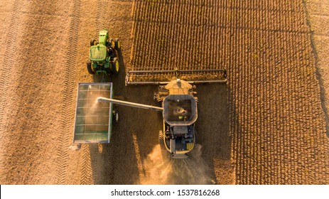 PARIS, ILLINOIS/USA - OCTOBER 17, 2019: A combine dumps beans into a grain wagon on Oct, 17, 2019, as farmers harvest a soybean field east of Paris, Illinois.