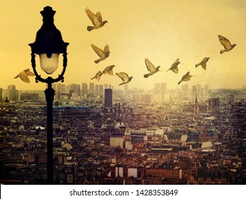 Paris rooftops. Flying pigeons in lightly misty beautiful sky.  City view on sunset. Vintage street lamp is on the soft blur foreground  - Powered by Shutterstock