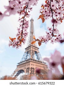 Paris Spring